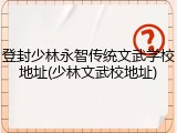 登封少林永智传统文武学校地址(少林文武校地址)