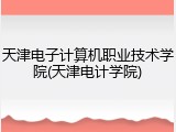 天津电子计算机职业技术学院(天津电计学院)