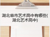 湖北省市艺术高中有哪些(湖北艺术高中)