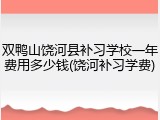 双鸭山饶河县补习学校一年费用多少钱(饶河补习学费)