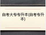 自考大专专升本(自考专升本)