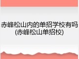 赤峰松山内的单招学校有吗(赤峰松山单招校)
