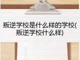 叛逆学校是什么样的学校(叛逆学校什么样)