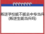 叛逆学校能不能去中专当兵(叛逆生能当兵吗)