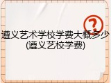 遵义艺术学校学费大概多少(遵义艺校学费)