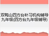 双鸭山四方台补习机构辅导九年级(四方台九年级辅导)