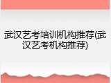 武汉艺考培训机构推荐(武汉艺考机构推荐)
