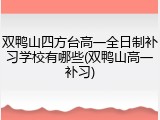 双鸭山四方台高一全日制补习学校有哪些(双鸭山高一补习)