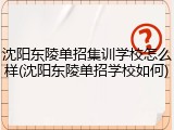 沈阳东陵单招集训学校怎么样(沈阳东陵单招学校如何)