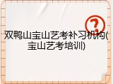 双鸭山宝山艺考补习机构(宝山艺考培训)