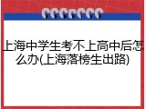 上海中学生考不上高中后怎么办(上海落榜生出路)