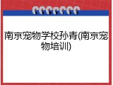 南京宠物学校孙青(南京宠物培训)