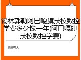 锡林郭勒阿巴嘎旗技校数控学费多少钱一年(阿巴嘎旗技校数控学费)