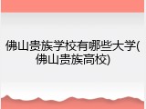 佛山贵族学校有哪些大学(佛山贵族高校)