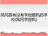 凤冈县有没有学挖掘机的学校(凤冈学挖机)