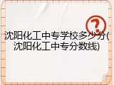 沈阳化工中专学校多少分(沈阳化工中专分数线)