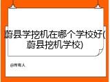 蔚县学挖机在哪个学校好(蔚县挖机学校)