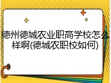 德州德城农业职高学校怎么样啊(德城农职校如何)
