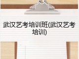 武汉艺考培训班(武汉艺考培训)