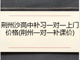 荆州沙高中补习一对一上门价格(荆州一对一补课价)
