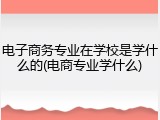 电子商务专业在学校是学什么的(电商专业学什么)
