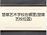 楚雄艺术学校在哪里(楚雄艺校位置)