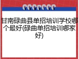 甘南碌曲县单招培训学校哪个最好(碌曲单招培训哪家好)