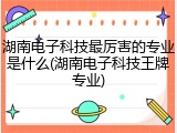 湖南电子科技最厉害的专业是什么(湖南电子科技王牌专业)