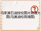 马家滩石油技校图片高清大图(马滩油校高清图)