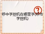 呼中学挖机在哪里学(呼市学挖机)