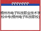 梧州市电子科技职业技术学校中专(梧州电子科技职校)