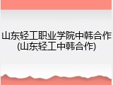 山东轻工职业学院中韩合作(山东轻工中韩合作)