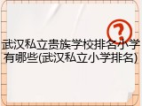 武汉私立贵族学校排名小学有哪些(武汉私立小学排名)
