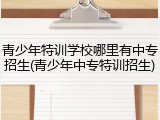 青少年特训学校哪里有中专招生(青少年中专特训招生)