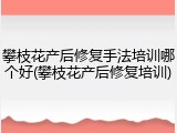攀枝花产后修复手法培训哪个好(攀枝花产后修复培训)
