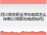 四川商务职业学校电商怎么样啊(川商职校电商如何)