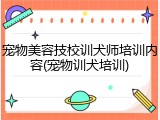 宠物美容技校训犬师培训内容(宠物训犬培训)
