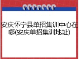 安庆怀宁县单招集训中心在哪(安庆单招集训地址)