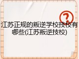 江苏正规的叛逆学校技校有哪些(江苏叛逆技校)