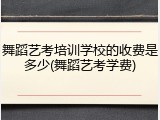 舞蹈艺考培训学校的收费是多少(舞蹈艺考学费)