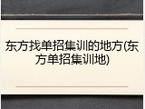 东方找单招集训的地方(东方单招集训地)