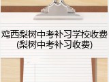 鸡西梨树中考补习学校收费(梨树中考补习收费)