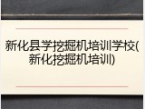 新化县学挖掘机培训学校(新化挖掘机培训)