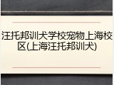 汪托邦训犬学校宠物上海校区(上海汪托邦训犬)