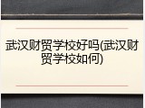 武汉财贸学校好吗(武汉财贸学校如何)