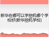 新华在哪可以学挖机哪个学校好(新华挖机学校)