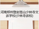河南郑州登封嵩山少林寺文武学校(少林寺武校)