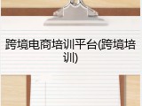 跨境电商培训平台(跨境培训)