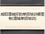 咸阳渭城好的单招培训哪里有(渭城单招培训)