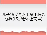 儿子15岁考不上高中怎么办呢(15岁考不上高中)